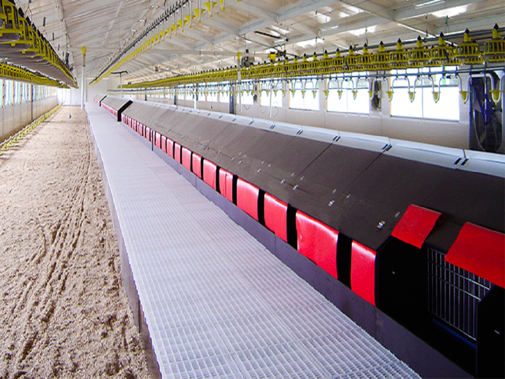 vangent-wegrollegnesten